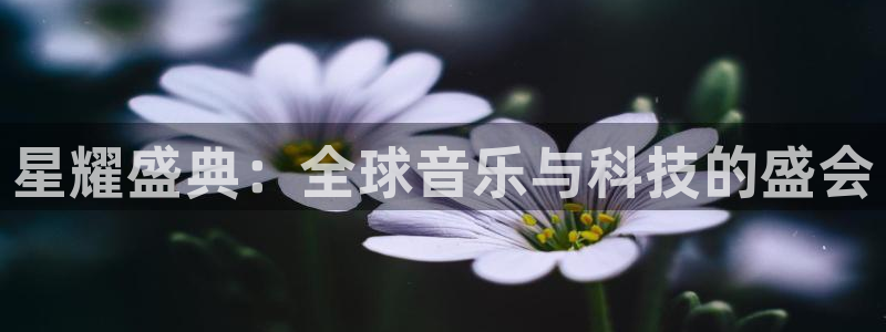 银河娱乐app下载官网：星耀盛典：全球音乐与科技的盛会
