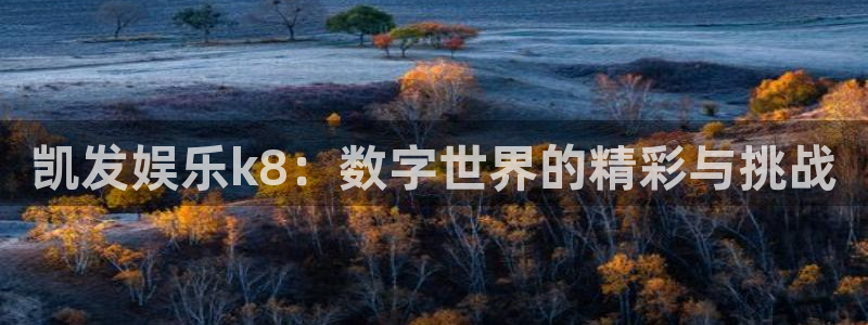 银河娱乐下载：凯发娱乐k8：数字世界的精彩与挑战