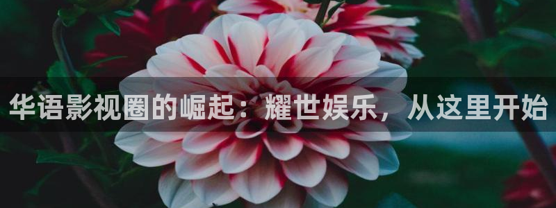银河娱乐平台app下载安装：华语影视圈的崛起：耀世娱乐，从这里开始