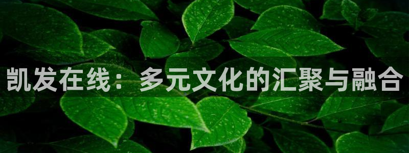 银河娱乐怎么下载：凯发在线：多元文化的汇聚与融合