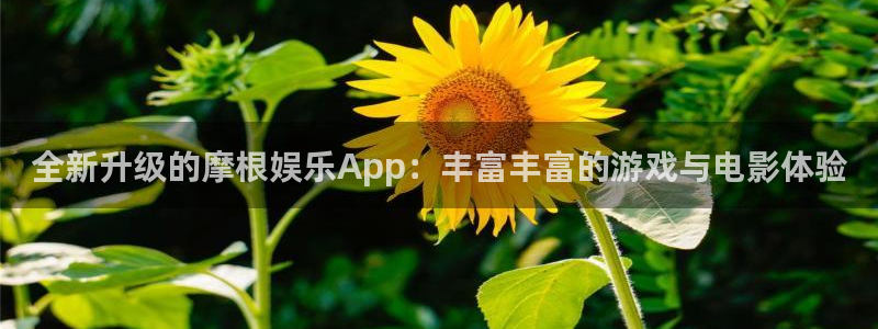 壹号大舞台,有梦你就来：全新升级的摩根娱乐App：丰富丰富的游戏与电影体验
