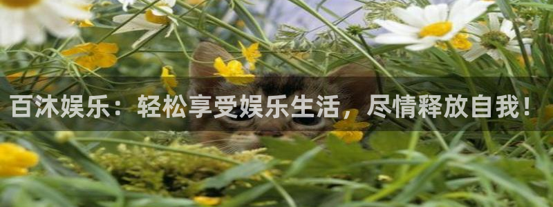 壹号大舞台：百沐娱乐：轻松享受娱乐生活，尽情释放自我！