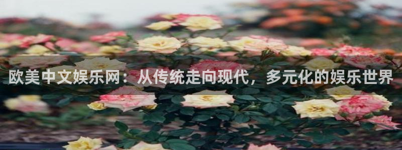 壹号平台注册链接官网下载：欧美中文娱乐网：从传统走向现代，多元化的娱乐世界