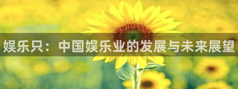 银河娱乐官方app下载安装：娱乐只：中国娱乐业的发展与未来展望