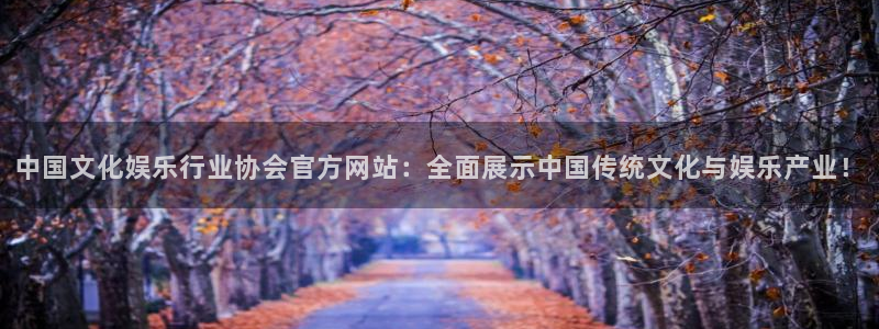 银河娱乐下载：中国文化娱乐行业协会官方网站：全面展示中国传统文化与娱乐产业！