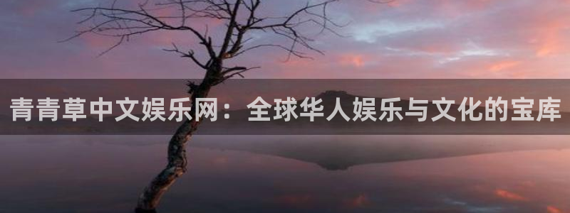 银河娱乐,apk：青青草中文娱乐网：全球华人娱乐与文化的宝库