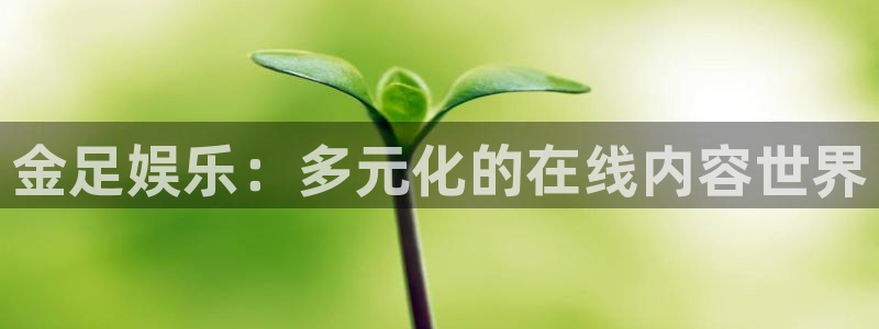 银河娱乐网站：金足娱乐：多元化的在线内容世界