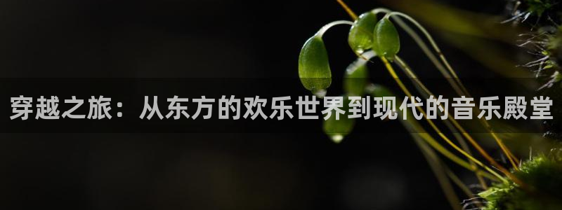 银河娱乐官网：穿越之旅：从东方的欢乐世界到现代的音乐殿堂