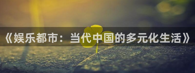 壹号平台注册链接官网下载：《娱乐都市：当代中国的多元化生活》