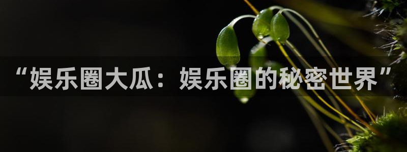 壹号下载安装：“娱乐圈大瓜：娱乐圈的秘密世界”